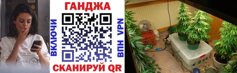 купить закладку  Севск  МАРИХУАНА Ganja 